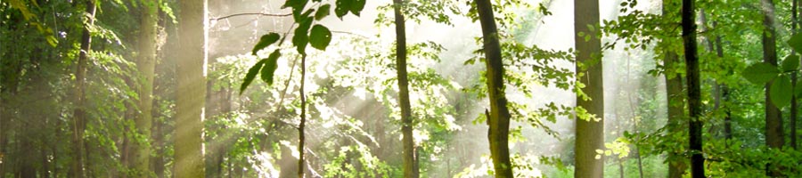 conni_eyrich_0008_Ebene 16.jpg